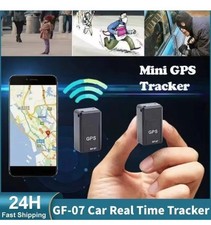 Microspia ambientale cimice